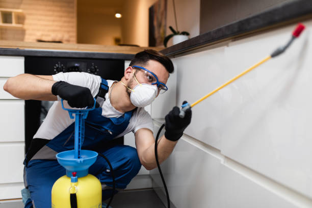 Best Affordable Exterminators  in Landis, NC
