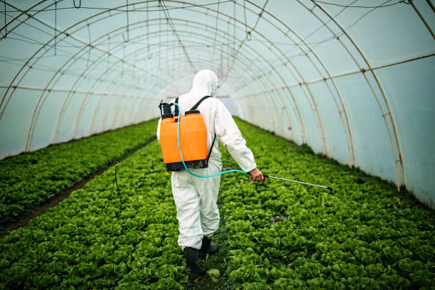 Best Pest Inspection Near Me  in Landis, NC