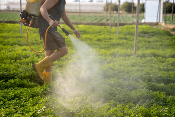 Best Residential Pest Control  in Landis, NC