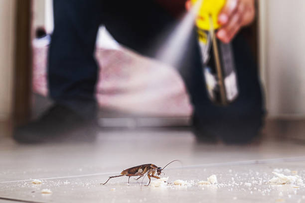 Trusted Landis, NC Pest Control Experts