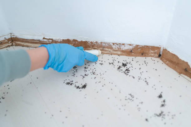 Best Best Pest Control Companies  in Landis, NC