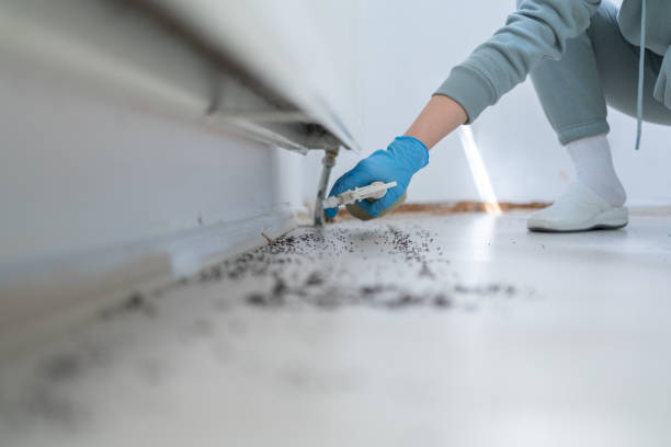 Best Bed Bug Extermination  in Landis, NC
